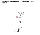 imp 1.webp