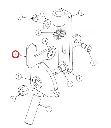 5011822.webp
