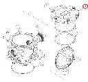 GG9072.webp