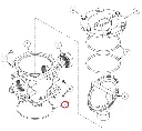 GG9072.webp