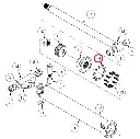 5004422.webp